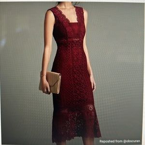 Bardot lace burgundy dress size 4